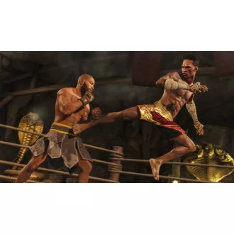 EA Sports UFC 4-Spiel PS4 EA