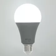 RSH 104 A70 E27 Glühlampe 14 W RGB CCT RETLUX