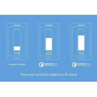 LAMAX Powerbank 10000 mAh Schnellladung