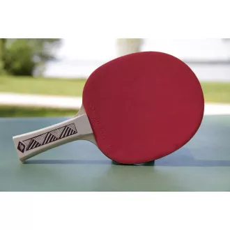 DONIC Tischtennisschläger CHAMPS LINE 150 FSC