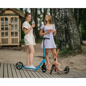 Klapproller MOVINO City Comfort  Antik rosa