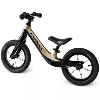 Cariboo Magnesium Air - SCHWARZ/GOLD