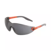 Brille V6100