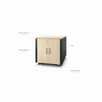 APC NetShelter Soundproof, 12U, Server-Rack-Gehäuse, Ahorn