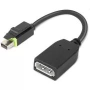 Lenovo ThinkStation Mini DP auf DP-Adapter