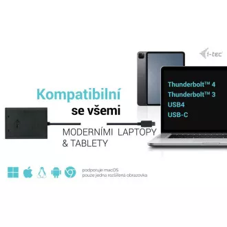 I-tec USB-C Dual 4K/60Hz (einzeln 8K/30Hz) DP Video Adapter