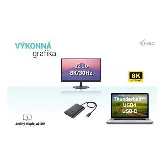 I-tec USB-C Dual 4K/60Hz (einzeln 8K/30Hz) DP Video Adapter