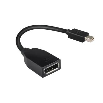 Lenovo Mini-DisplayPort auf DisplayPort Adapter Lenovo Mini-DisplayPort auf DisplayPort Adapter