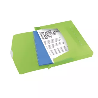 Esselte Dokumentenbox VIVIDA, 40 mm, grün Esselte Dokumentenbox VIVIDA, 40 mm, grün