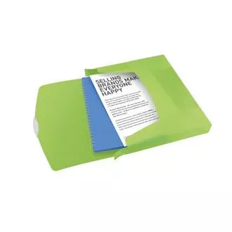 Esselte Dokumentenbox VIVIDA, 40 mm, grün Esselte Dokumentenbox VIVIDA, 40 mm, grün