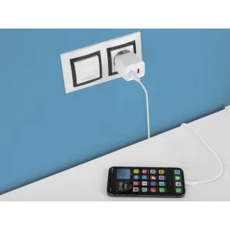 AVACOM HomePRO 2 Netzladegerät mit Power Delivery 40W mit zwei USB-C Ausgängen AVACOM HomePRO 2 Netzladegerät mit Power Delivery 40W mit zwei USB-C Ausgängen
