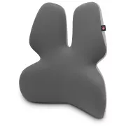 CONNECT IT FOR HEALTH GamaPro Anatomische Lendenwirbelstütze für Stuhl, GREY