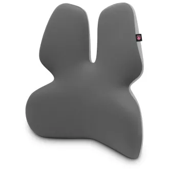CONNECT IT FOR HEALTH GamaPro Anatomische Lendenwirbelstütze für Stuhl, GREY