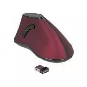 Delock Ergonomische vertikale optische 5-Tasten-Maus 2,4 GHz Wireless