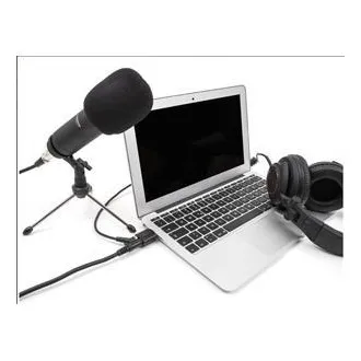 Delock Externe USB 24 bit / 96 kHz Plug & Play Soundkarte für Windows, MAC, Linux, Chrome OS