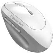 Genius Ergo 8350S, Maus, kabellos, optisch, vertikal, 2400DPI, 6 Tasten, geräuschlos, Copilot, 2.4GHz, Bluetooth 5.3, weiß