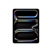 Apple iPad Pro 13"/Wi-Fi   Cellular, S.G./13"/2752x2064/16GB/2TB/iPadOS/Space Schwarz