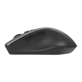 ASUS WT425/Ergonomisch/Optisch/Rechtshänder/1 600 DPI/Wireless USB/Grau ASUS WT425/Ergonomisch/Optisch/Rechtshänder/1 600 DPI/Wireless USB/Grau