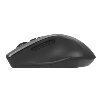 ASUS WT425/Ergonomisch/Optisch/Rechtshänder/1 600 DPI/Wireless USB/Grau ASUS WT425/Ergonomisch/Optisch/Rechtshänder/1 600 DPI/Wireless USB/Grau