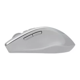 ASUS WT425/Ergonomisch/Optisch/Rechtshänder/1 600 DPI/Wireless USB/Silber