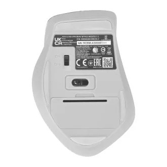 ASUS WT425/Ergonomisch/Optisch/Rechtshänder/1 600 DPI/Wireless USB/Silber