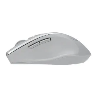 ASUS WT425/Ergonomisch/Optisch/Rechtshänder/1 600 DPI/Wireless USB/Silber