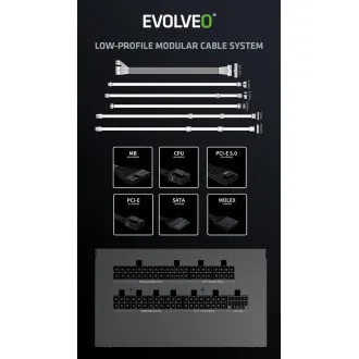 EVOLVEO G1000/1000W/ATX 3.0/80PLUS Gold/Modular EVOLVEO G1000/1000W/ATX 3.0/80PLUS Gold/Modular