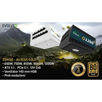 EVOLVEO G750,750W,ATX3.1,14cm,aPFC,80 GOLD,3YRW