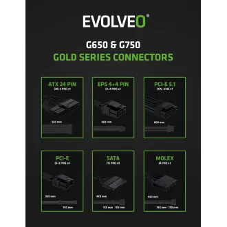 EVOLVEO G750,750W,ATX3.1,14cm,aPFC,80 GOLD,3YRW