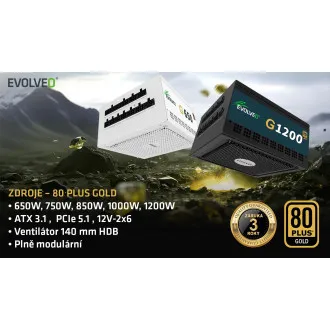 EVOLVEO G750,750W,ATX3.1,14cm,aPFC,80 GOLD,3YRW EVOLVEO G750,750W,ATX3.1,14cm,aPFC,80 GOLD,3YRW
