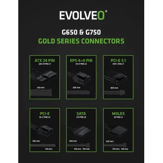 EVOLVEO G750,750W,ATX3.1,14cm,aPFC,80 GOLD,3YRW EVOLVEO G750,750W,ATX3.1,14cm,aPFC,80 GOLD,3YRW