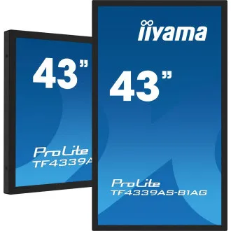43 43