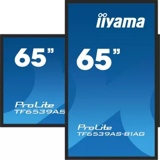 65 65