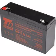 Batterie T6 Power NP6-12, 6V, 12Ah, F2