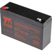 Batterie T6 Power NP6-12, 6V, 12Ah, F2