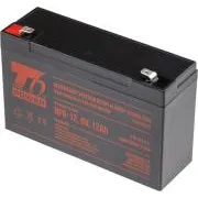 Batterie T6 Power NP6-12, 6V, 12Ah, F2