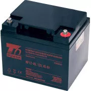 Batterie T6 Power NP12-45, 12V, 45Ah