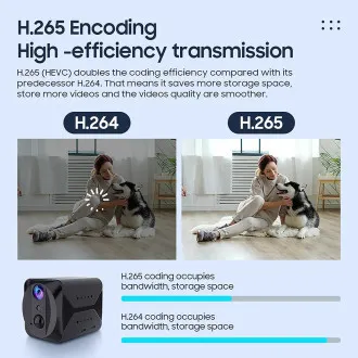 Viking S309 4G/1080P Mini-Kamera/Nachtsichtgerät/Bewegungssensor/2500mAh/Mobil-App