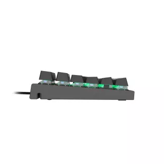 Genesis Gaming Mechanische Tastatur THOR 300/RGB/Outemu Blau/Wireless USB/US Layout/Schwarz Genesis Gaming Mechanische Tastatur THOR 300/RGB/Outemu Blau/Wireless USB/US Layout/Schwarz