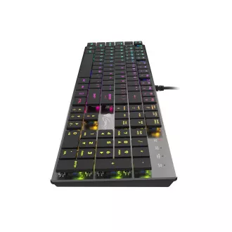Genesis Gaming Mechanische Tastatur THOR 420/RGB/Content Slim Blau/Wireless USB/US-Layout/Grau Genesis Gaming Mechanische Tastatur THOR 420/RGB/Content Slim Blau/Wireless USB/US-Layout/Grau