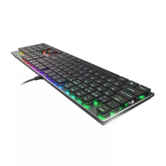 Genesis Gaming Mechanische Tastatur THOR 420/RGB/Content Slim Blau/Wireless USB/US-Layout/Grau Genesis Gaming Mechanische Tastatur THOR 420/RGB/Content Slim Blau/Wireless USB/US-Layout/Grau