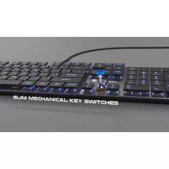 Genesis Gaming Mechanische Tastatur THOR 420/RGB/Content Slim Blau/Wireless USB/US-Layout/Grau Genesis Gaming Mechanische Tastatur THOR 420/RGB/Content Slim Blau/Wireless USB/US-Layout/Grau