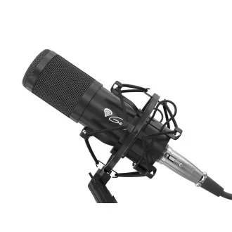 Genesis Radium 300 Streaming-Mikrofon, XLR, Nierencharakteristik, flexibler Arm, Pop-Filter