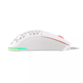 Genesis Gaming Optische Maus KRYPTON 750/RGB/8000 DPI/Herring/Optisch/8000 DPI/Kabellos USB/Weiß Genesis Gaming Optische Maus KRYPTON 750/RGB/8000 DPI/Herring/Optisch/8000 DPI/Kabellos USB/Weiß