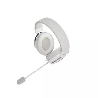 Gaming-Headset mit Mikrofon Genesis TORON 301/Stereo/Buchse/Kabel/Ständer/Weiß Gaming-Headset mit Mikrofon Genesis TORON 301/Stereo/Buchse/Kabel/Ständer/Weiß