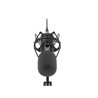 Genesis RADIUM 400 G2 Streaming-Mikrofon, USB