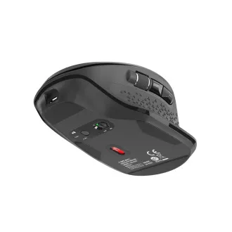 Natec Optische Maus FALCON/Büro/Optisch/Rechtshänder/3 200 DPI/Kabellos Bluetooth/Schwarz Natec Optische Maus FALCON/Büro/Optisch/Rechtshänder/3 200 DPI/Kabellos Bluetooth/Schwarz