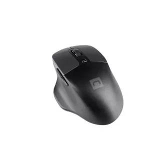 Natec Optische Maus BLACKBIRD 2/1600 DPI/Office/Optisch/1600 DPI/Kabellos USB/Schwarz Natec Optische Maus BLACKBIRD 2/1600 DPI/Office/Optisch/1600 DPI/Kabellos USB/Schwarz