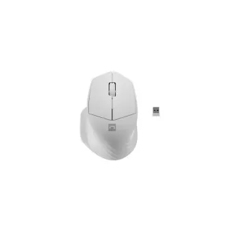 Natec optische Maus SISKIN 2/Büro/Optisch/Rechtshänder/1 600 DPI/USB BT/Weiß Natec optische Maus SISKIN 2/Büro/Optisch/Rechtshänder/1 600 DPI/USB BT/Weiß