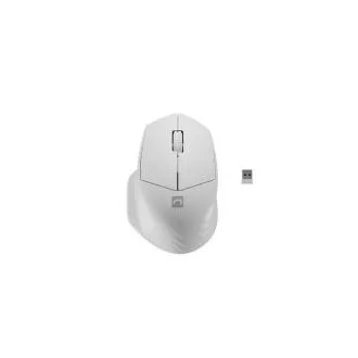 Natec optische Maus SISKIN 2/Büro/Optisch/Rechtshänder/1 600 DPI/USB BT/Weiß Natec optische Maus SISKIN 2/Büro/Optisch/Rechtshänder/1 600 DPI/USB BT/Weiß